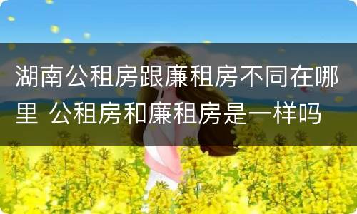 湖南公租房跟廉租房不同在哪里 公租房和廉租房是一样吗