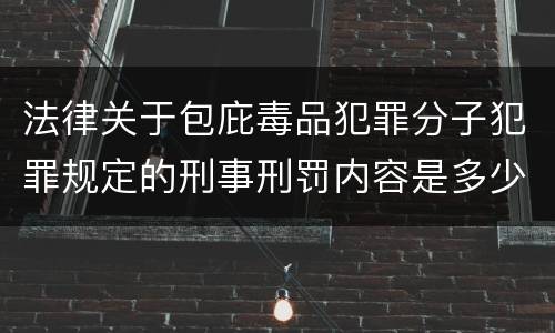 法律关于包庇毒品犯罪分子犯罪规定的刑事刑罚内容是多少