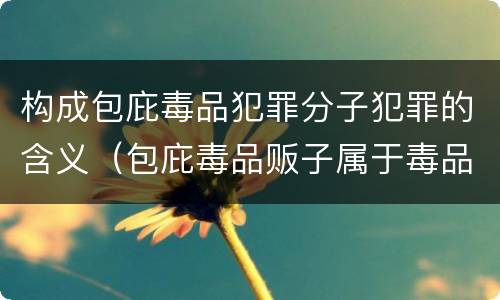 构成包庇毒品犯罪分子犯罪的含义（包庇毒品贩子属于毒品犯罪吗）
