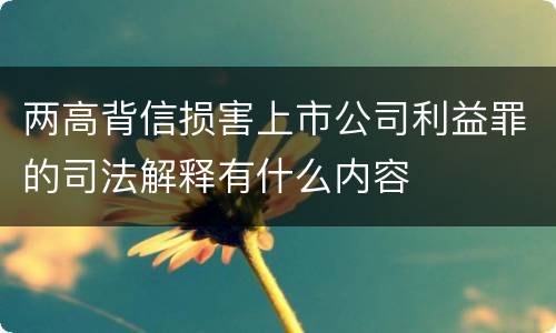 两高背信损害上市公司利益罪的司法解释有什么内容