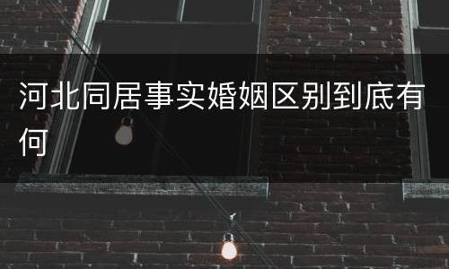 河北同居事实婚姻区别到底有何