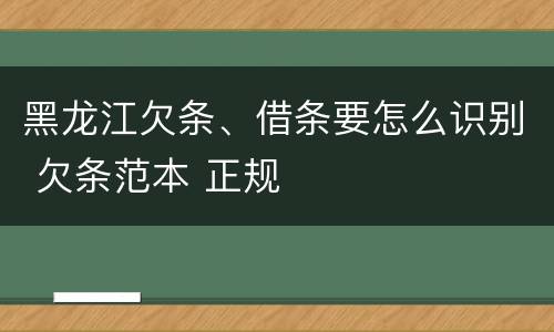 黑龙江欠条、借条要怎么识别 欠条范本 正规
