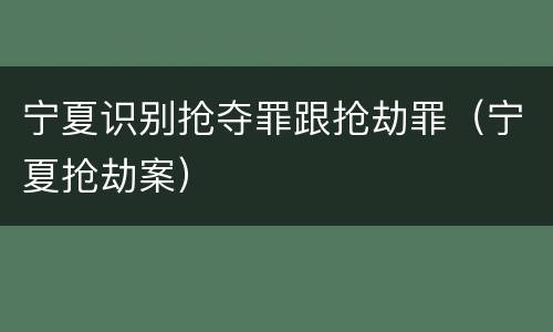 宁夏识别抢夺罪跟抢劫罪（宁夏抢劫案）
