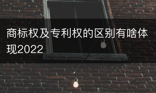 商标权及专利权的区别有啥体现2022