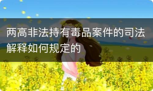 两高非法持有毒品案件的司法解释如何规定的