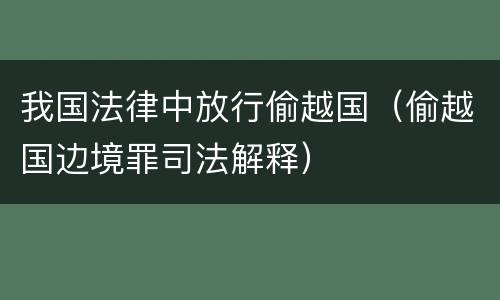 我国法律中放行偷越国（偷越国边境罪司法解释）
