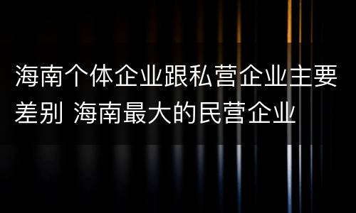 海南个体企业跟私营企业主要差别 海南最大的民营企业