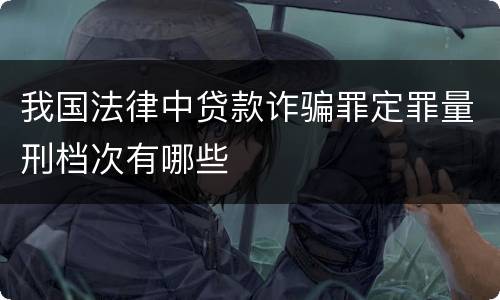 我国法律中贷款诈骗罪定罪量刑档次有哪些