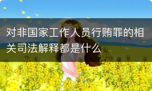 对非国家工作人员行贿罪的相关司法解释都是什么