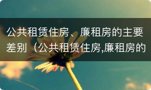 公共租赁住房、廉租房的主要差别（公共租赁住房,廉租房的主要差别是）