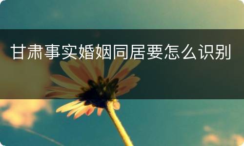 甘肃事实婚姻同居要怎么识别