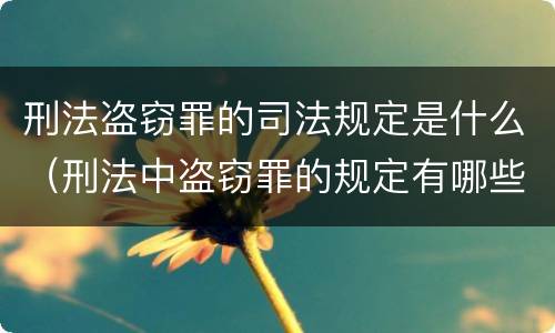 刑法盗窃罪的司法规定是什么（刑法中盗窃罪的规定有哪些）