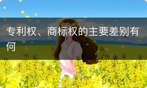 专利权、商标权的主要差别有何