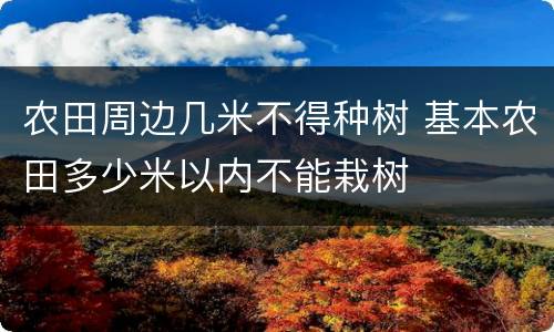 农田周边几米不得种树 基本农田多少米以内不能栽树