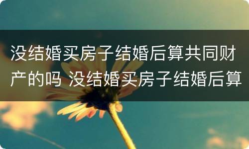 没结婚买房子结婚后算共同财产的吗 没结婚买房子结婚后算共同财产的吗怎么算
