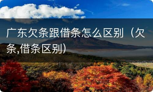广东欠条跟借条怎么区别（欠条,借条区别）