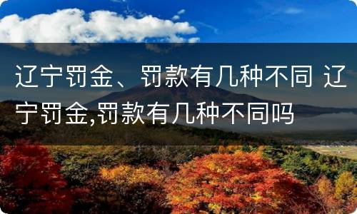 辽宁罚金、罚款有几种不同 辽宁罚金,罚款有几种不同吗
