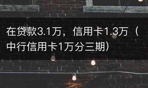 在贷款3.1万，信用卡1.3万（中行信用卡1万分三期）
