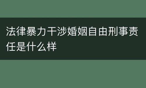 法律暴力干涉婚姻自由刑事责任是什么样