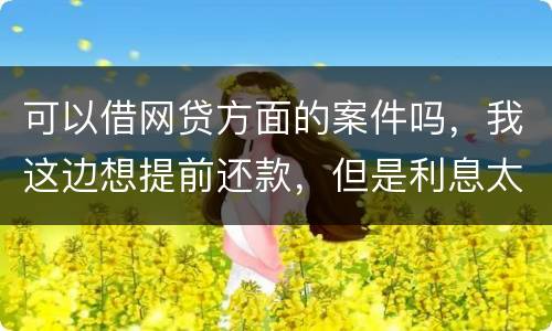 可以借网贷方面的案件吗，我这边想提前还款，但是利息太高