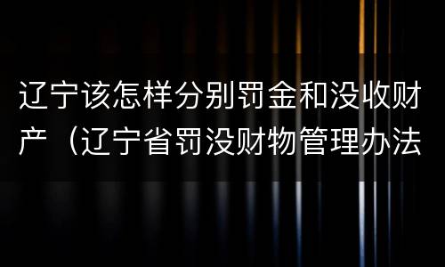 辽宁该怎样分别罚金和没收财产（辽宁省罚没财物管理办法）