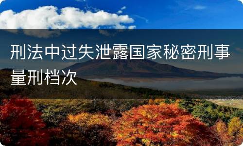 刑法中过失泄露国家秘密刑事量刑档次