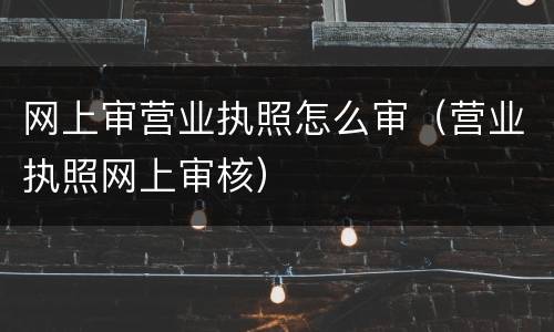 网上审营业执照怎么审（营业执照网上审核）