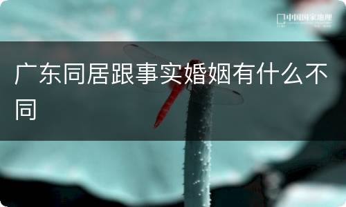 广东同居跟事实婚姻有什么不同