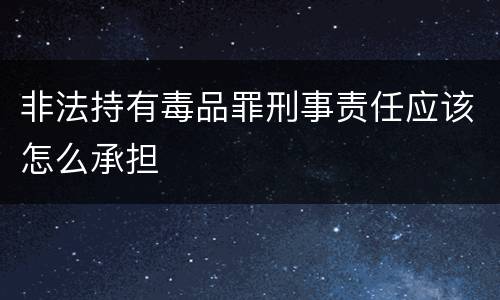 非法持有毒品罪刑事责任应该怎么承担