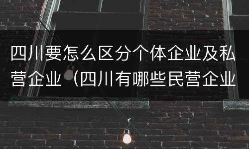 四川要怎么区分个体企业及私营企业（四川有哪些民营企业）