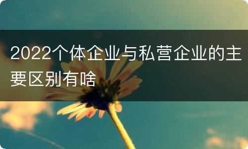2022个体企业与私营企业的主要区别有啥