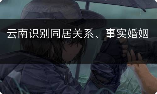 云南识别同居关系、事实婚姻