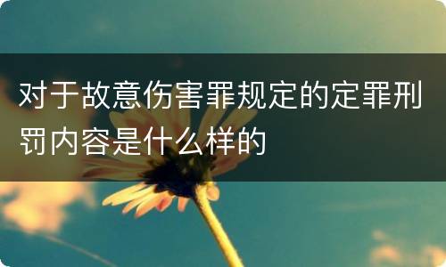 对于故意伤害罪规定的定罪刑罚内容是什么样的