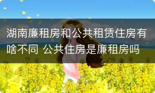 湖南廉租房和公共租赁住房有啥不同 公共住房是廉租房吗