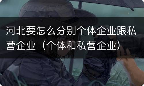 河北要怎么分别个体企业跟私营企业（个体和私营企业）