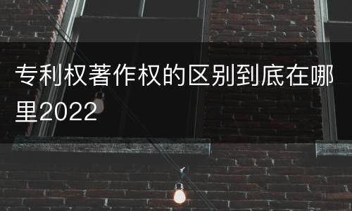 专利权著作权的区别到底在哪里2022