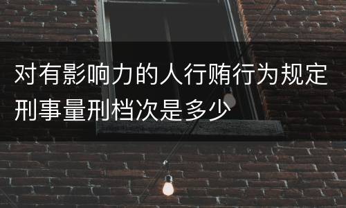 对有影响力的人行贿行为规定刑事量刑档次是多少