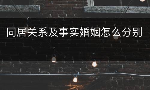 同居关系及事实婚姻怎么分别