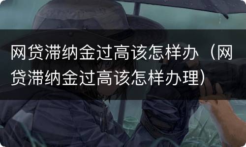 网贷滞纳金过高该怎样办（网贷滞纳金过高该怎样办理）