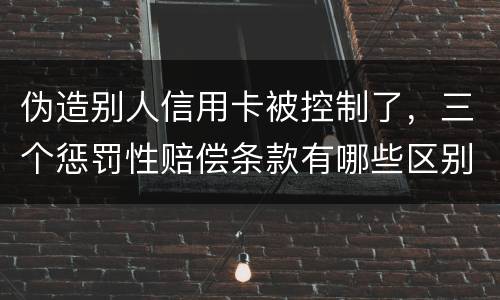 伪造别人信用卡被控制了，三个惩罚性赔偿条款有哪些区别呢