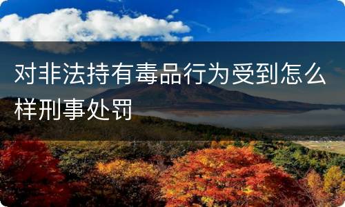 对非法持有毒品行为受到怎么样刑事处罚