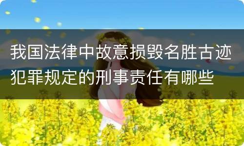 我国法律中故意损毁名胜古迹犯罪规定的刑事责任有哪些