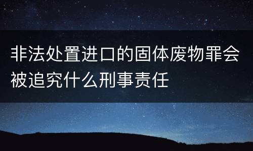 非法处置进口的固体废物罪会被追究什么刑事责任