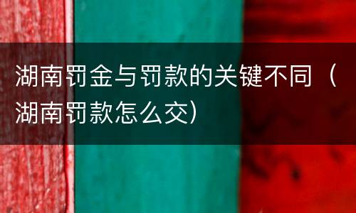湖南罚金与罚款的关键不同（湖南罚款怎么交）