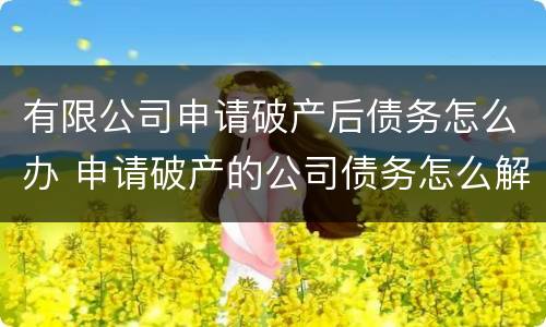 有限公司申请破产后债务怎么办 申请破产的公司债务怎么解决