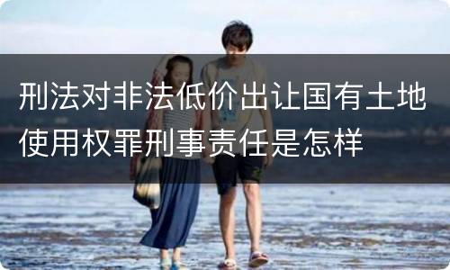 刑法对非法低价出让国有土地使用权罪刑事责任是怎样