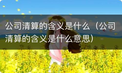公司清算的含义是什么（公司清算的含义是什么意思）