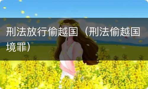 刑法放行偷越国（刑法偷越国境罪）