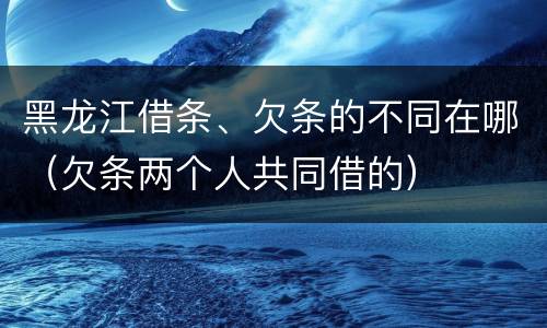 黑龙江借条、欠条的不同在哪（欠条两个人共同借的）