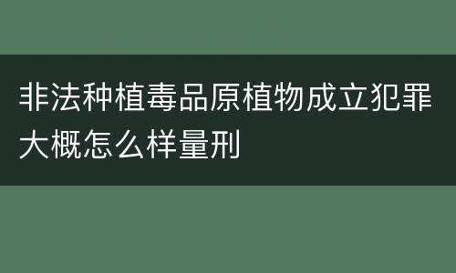 非法种植毒品原植物成立犯罪大概怎么样量刑